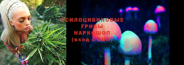 шишки Богданович