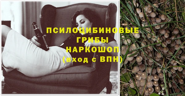 шишки Богородск