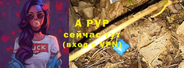 шишки Богданович