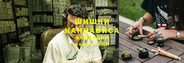 шишки Богородск