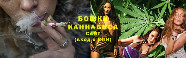 шишки Богородск