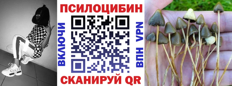 Псилоцибиновые грибы MAGIC MUSHROOMS наркота Клинцы